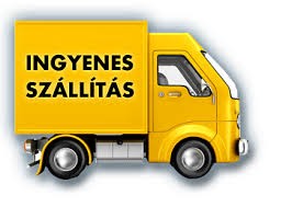 HITACHI RB24EAP Benzinmotoros lombfúvó+Ajándék 2T motorolaj+A120 kesztyű